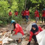 contoh tentang lingkungan