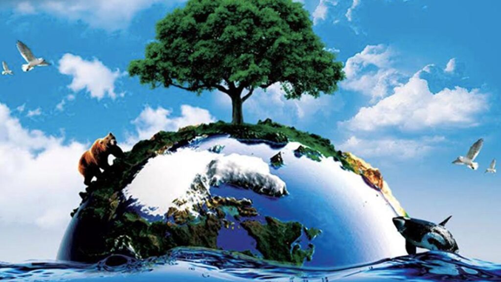 7 Pengertian Environmental 