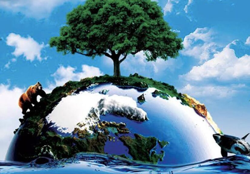 pengertian lingkungan